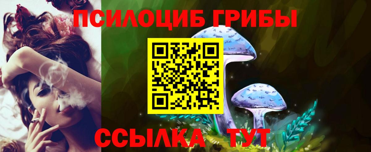 Полевской  Псилоцибиновые грибы мицелий  Вход с VPN 
